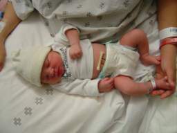DSC01532_small.JPG