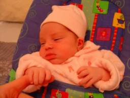 DSC01670_small.JPG