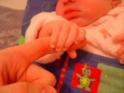 DSC01671_small.JPG