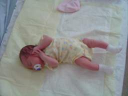 DSC01687_small.JPG