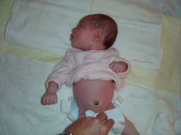 DSC01688_small.JPG