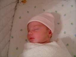 DSC01700_small.JPG